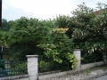 K800_DSC03486