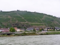 P1060841