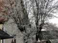 K1600_IMG_0758