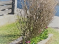 K1600_IMG_0868