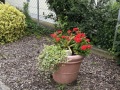 20230611_IMG_5566