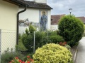20230611_IMG_5567