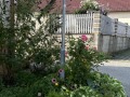 20230819_IMG_5834