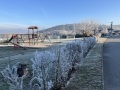 20250101_IMG_0964