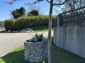 20250404_IMG_8751