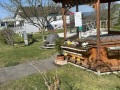 20250412_IMG_8772