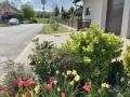 20250416_IMG_8808