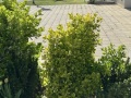 20250416_IMG_8809
