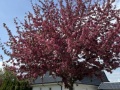 20250423_IMG_8867