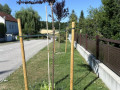 20250701_IMG_9223