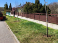 Stolz_auf_unser_Dorf_Guntrams-07