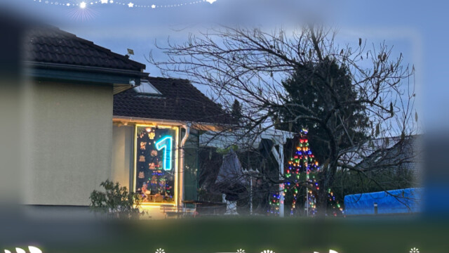 2025_Adventfenster_01