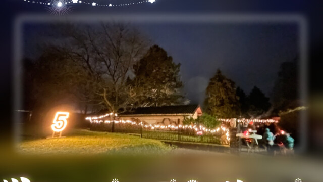 2025_Adventfenster_05