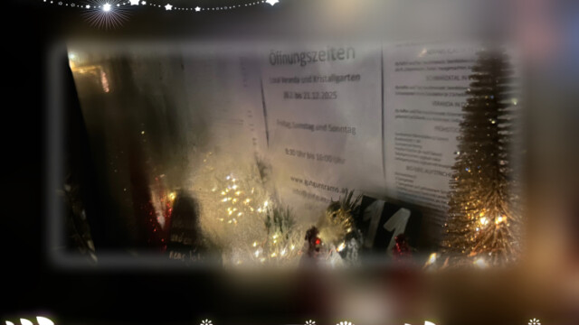 2025_Adventfenster_11